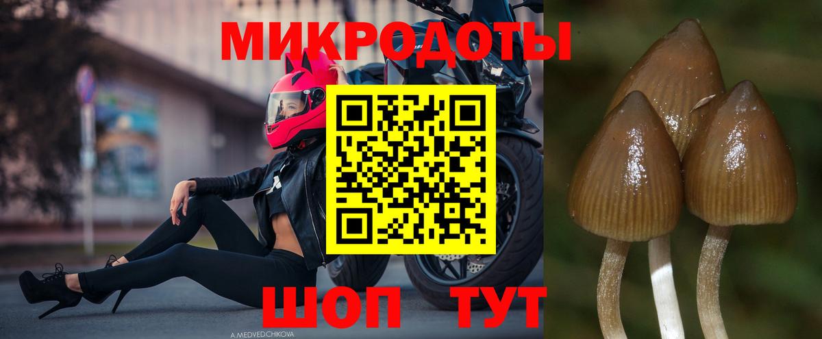 Рузаевка  дарнет шоп  Вход с VPN  Галлюциногенные грибы прущие грибы 