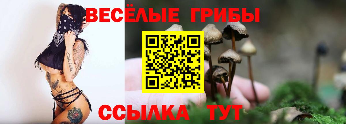 Галлюциногенные грибы мухоморы Рузаевка